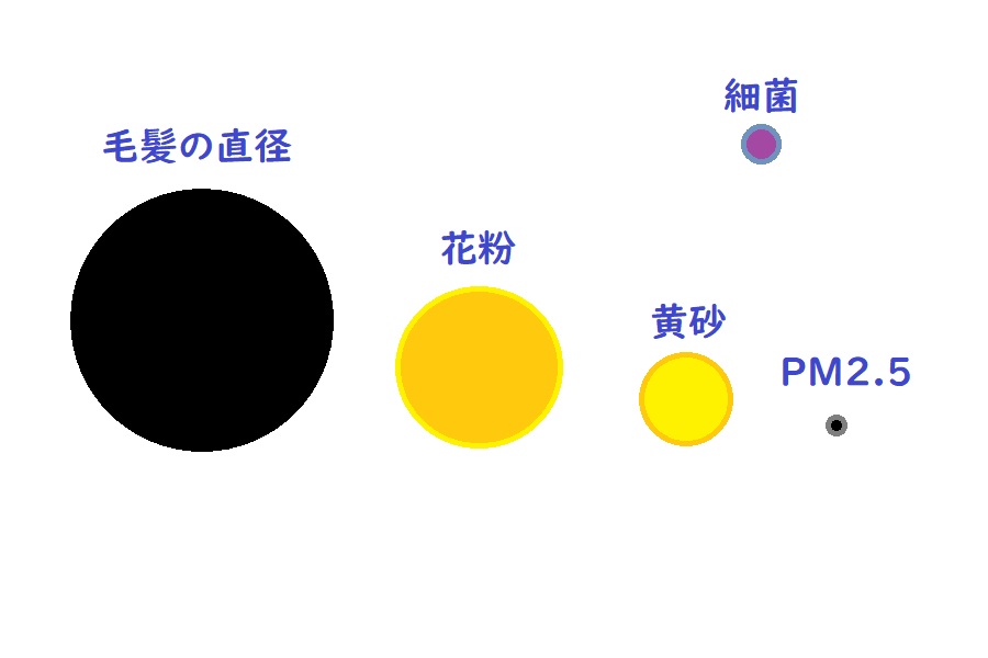 花粉の大きさは マスクをすり抜ける花粉に対処しよう 花粉症対策サイト